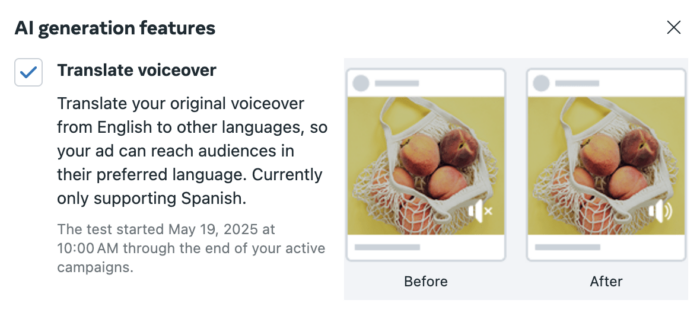 Translate Voiceover AI-Generated Ads Feature